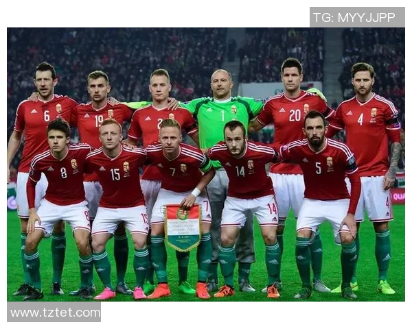 奥地利足球明星阵容解析及未来发展潜力分析