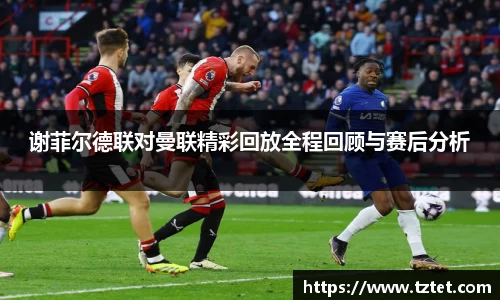 谢菲尔德联对曼联精彩回放全程回顾与赛后分析
