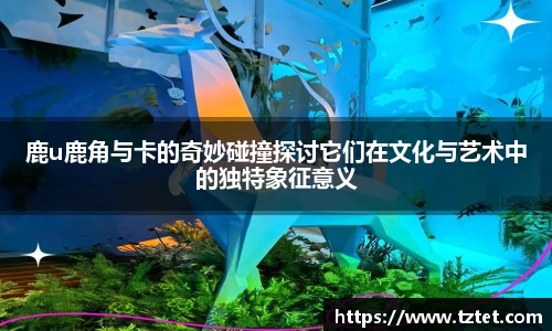 开云电竞官网